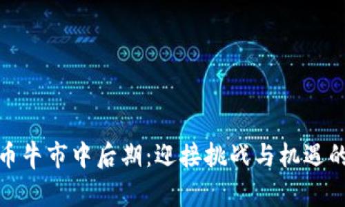 加密货币牛市中后期：迎接挑战与机遇的新时代