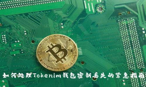 如何处理Tokenim钱包密钥丢失的紧急指南