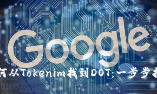 如何从Tokenim找到DOT：一步步指南