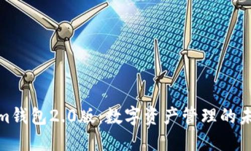 Tokenim钱包2.0版：数字资产管理的未来之道