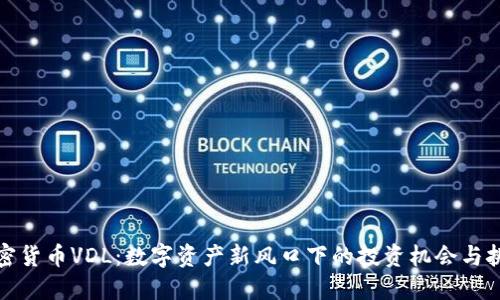 加密货币VDL：数字资产新风口下的投资机会与挑战
