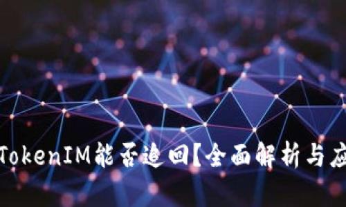 被盗的TokenIM能否追回？全面解析与应对措施