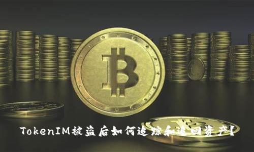 TokenIM被盗后如何追踪和追回资产？