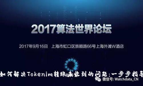 如何解决Tokenim转账未收到的问题：一步步指导