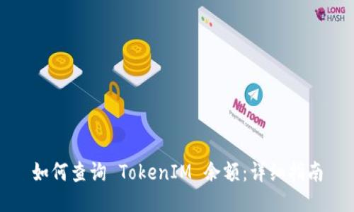 如何查询 TokenIM 余额：详细指南