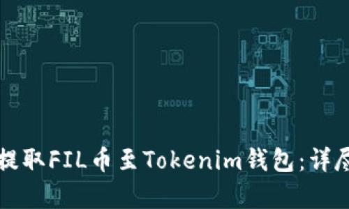 如何高效地提取FIL币至Tokenim钱包：详尽的流程解析