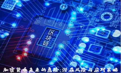 
加密货币未来的危险：潜在风险与应对策略