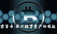 揭秘BIU加密货币：新兴数字资产的崛起与未来发