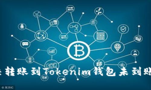 如何解决转账到Tokenim钱包未到账的问题？