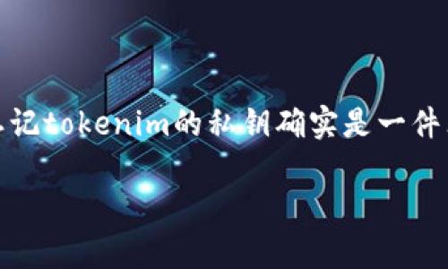 在加密货币的世界中，安全性和私钥的管理至关重要。一旦私钥丢失或忘记，通常意味着用户无法再访问其相应的资产。因此，忘记tokenim的私钥确实是一件非常棘手的事情。在这篇文章中，我们将讨论私钥的作用、如何保护它们，以及一些可能帮助用户重新获得对其资产访问的方法。

如何找回遗失的tokenim私钥？