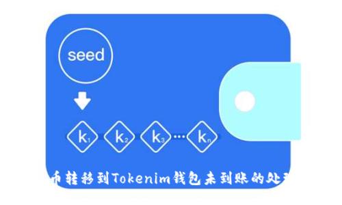 MDX币转移到Tokenim钱包未到账的处理指南