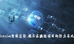 Tokenim分析总结：揭示区块链项目的潜力与风险