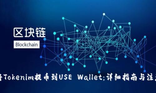 如何将Tokenim提币到USE Wallet：详细指南与注意事项