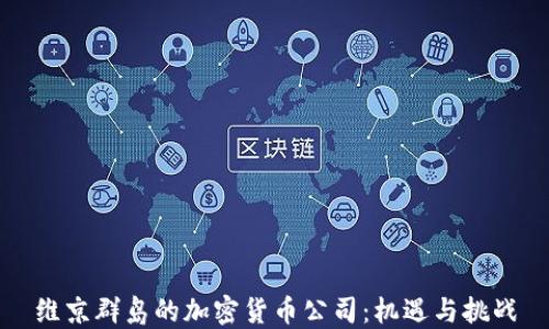
维京群岛的加密货币公司：机遇与挑战
