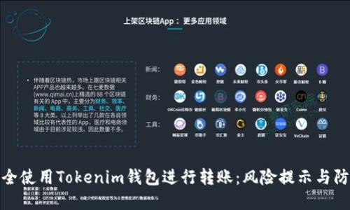 如何安全使用Tokenim钱包进行转账：风险提示与防范措施