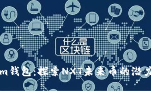 Tokenim钱包：探索NXT未来币的潜力与应用