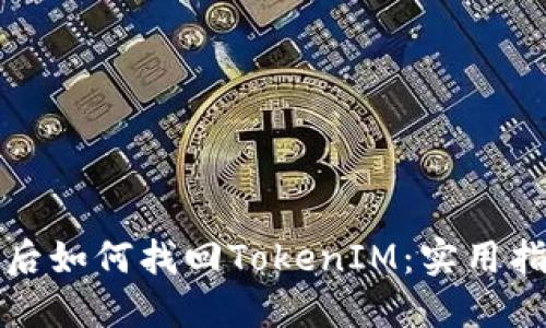 设备丢失后如何找回TokenIM：实用指南与技巧