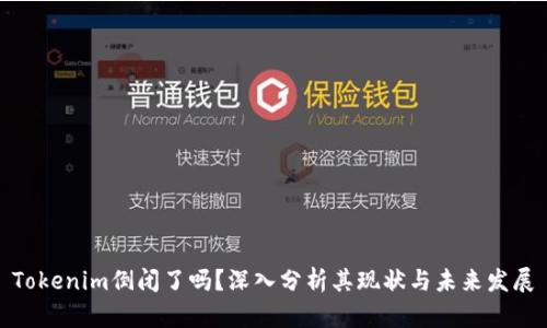 Tokenim倒闭了吗？深入分析其现状与未来发展