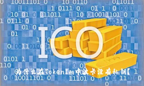 为什么在TokenIm中波卡没有私钥？