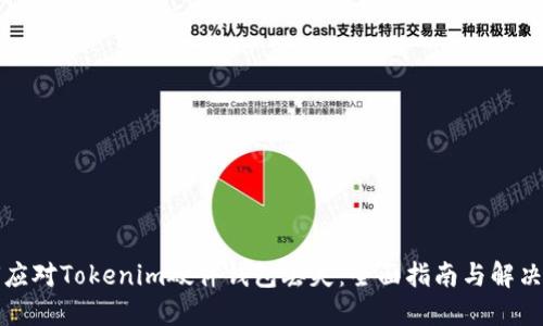 如何应对Tokenim硬件钱包丢失：全面指南与解决方案