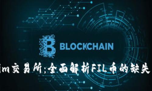 Tokenim交易所：全面解析FIL币的缺失与影响