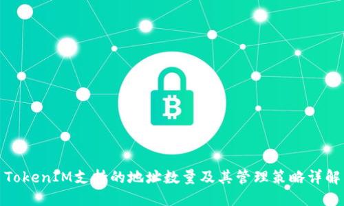 TokenIM支持的地址数量及其管理策略详解
