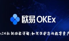 TokenIM私钥功能详解：如何保护您的数字资产安全