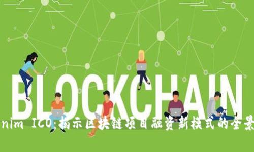 Tokenim ICO：揭示区块链项目融资新模式的全景解析