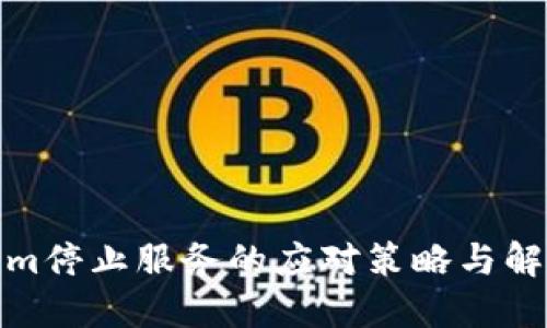 Tokenim停止服务的应对策略与解决方案