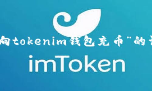 本内容将提供一个针对“怎样从交易所向tokenim钱包充币”的详细指南，以下为、关键词以及内容概要。

如何从交易所向Tokenim钱包充币