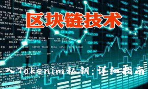 如何安全导入Tokenim私钥：详细指南与最佳实践