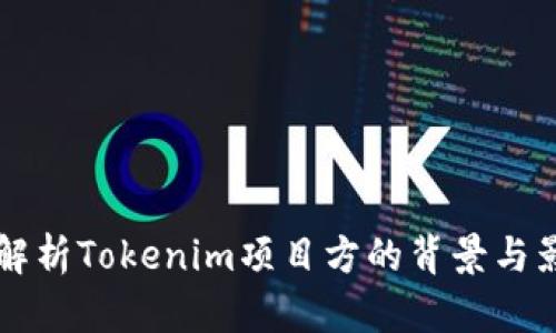 深入解析Tokenim项目方的背景与影响力