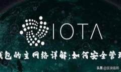 Tokenim钱包的主网络详解：如何安全管理加密资产