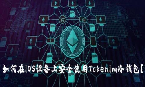 如何在iOS设备上安全使用Tokenim冷钱包？