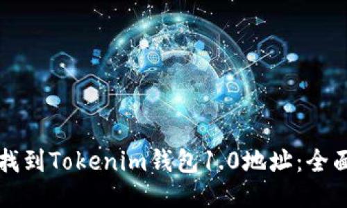 如何找到Tokenim钱包1.0地址：全面指南