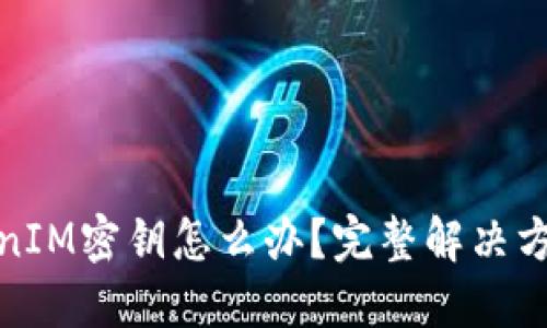 丢失TokenIM密钥怎么办？完整解决方案与步骤
