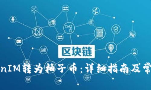 如何将TokenIM转为柚子币：详细指南及常见问题解答