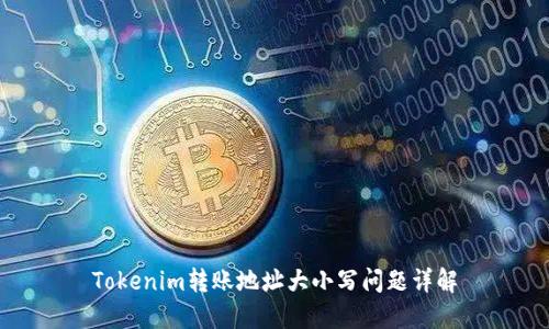 Tokenim转账地址大小写问题详解