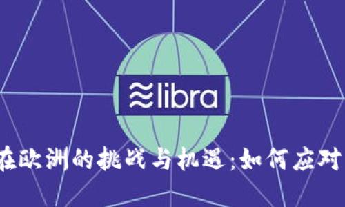 加密货币在欧洲的挑战与机遇：如何应对市场波动？