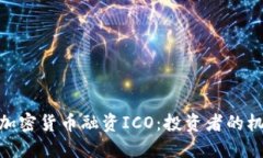 和关键词深入了解加密货币融资ICO：投资者的机