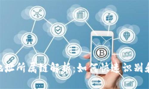 Tokenim钱包地址所属链解析：如何快速识别和管理你的资产