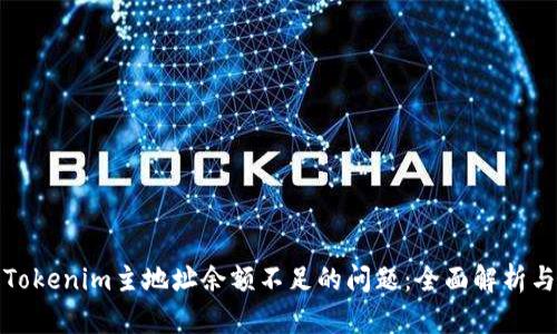 如何解决Tokenim主地址余额不足的问题：全面解析与解决方案