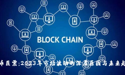 加密货币巨震：2023年市场波动的深层原因与未来趋势解析