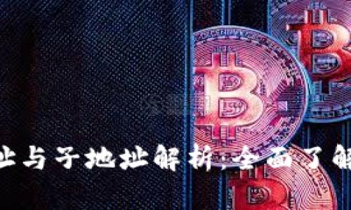 Tokenim的主地址与子地址解析：全面了解区块链钱包结构