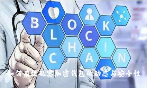 如何有效观察加密钱包的动态与安全性