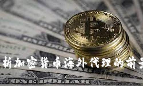  全面分析加密货币海外代理的前景与挑战