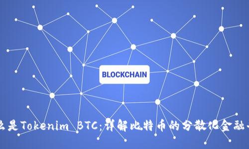 什么是Tokenim BTC：详解比特币的分散化金融平台