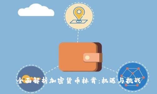 全面解析加密货币林肯：机遇与挑战