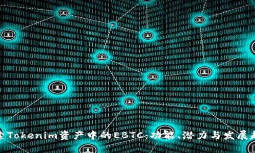 探索Tokenim资产中的EBTC：功能、潜力与发展趋势