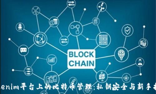   
Tokenim平台上的比特币管理：私钥安全与新手指南